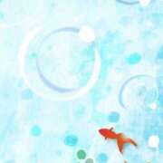 ヒメ日記 2025/07/04 09:54 投稿 白咲花音 五十路マダムエクスプレス船橋店(カサブランカグループ)