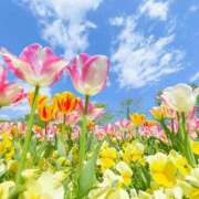 ヒメ日記 2025/07/24 10:30 投稿 白咲花音 五十路マダムエクスプレス船橋店(カサブランカグループ)