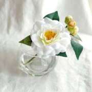 ヒメ日記 2025/07/25 11:56 投稿 白咲花音 五十路マダムエクスプレス船橋店(カサブランカグループ)