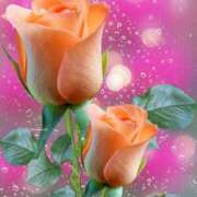 ヒメ日記 2025/08/03 13:06 投稿 白咲花音 五十路マダムエクスプレス船橋店(カサブランカグループ)