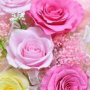 ヒメ日記 2025/08/09 10:50 投稿 白咲花音 五十路マダムエクスプレス船橋店(カサブランカグループ)