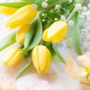 ヒメ日記 2025/08/10 11:36 投稿 白咲花音 五十路マダムエクスプレス船橋店(カサブランカグループ)