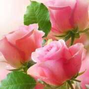 ヒメ日記 2025/08/20 10:46 投稿 白咲花音 五十路マダムエクスプレス船橋店(カサブランカグループ)