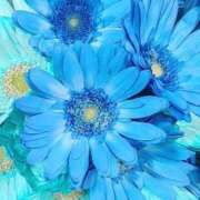 ヒメ日記 2025/08/24 15:48 投稿 白咲花音 五十路マダムエクスプレス船橋店(カサブランカグループ)