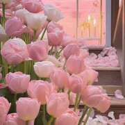 ヒメ日記 2025/09/20 13:58 投稿 白咲花音 五十路マダムエクスプレス船橋店(カサブランカグループ)