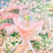 ヒメ日記 2025/09/21 12:46 投稿 白咲花音 五十路マダムエクスプレス船橋店(カサブランカグループ)