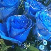 ヒメ日記 2025/09/22 11:44 投稿 白咲花音 五十路マダムエクスプレス船橋店(カサブランカグループ)