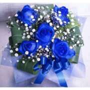 ヒメ日記 2025/09/29 14:04 投稿 白咲花音 五十路マダムエクスプレス船橋店(カサブランカグループ)