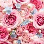 ヒメ日記 2025/10/24 14:12 投稿 白咲花音 五十路マダムエクスプレス船橋店(カサブランカグループ)