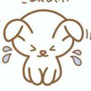 ヒメ日記 2025/10/27 07:44 投稿 白咲花音 五十路マダムエクスプレス船橋店(カサブランカグループ)