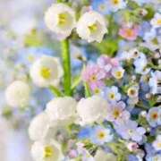 ヒメ日記 2025/11/02 12:50 投稿 白咲花音 五十路マダムエクスプレス船橋店(カサブランカグループ)