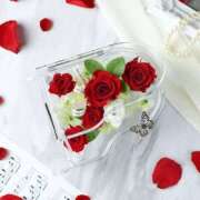 ヒメ日記 2025/11/23 12:40 投稿 白咲花音 五十路マダムエクスプレス船橋店(カサブランカグループ)