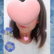 ヒメ日記 2025/11/25 08:20 投稿 白咲花音 五十路マダムエクスプレス船橋店(カサブランカグループ)