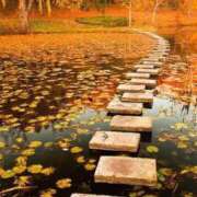 ヒメ日記 2025/11/27 07:42 投稿 白咲花音 五十路マダムエクスプレス船橋店(カサブランカグループ)