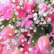 ヒメ日記 2025/12/01 15:04 投稿 白咲花音 五十路マダムエクスプレス船橋店(カサブランカグループ)