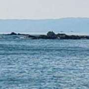 ヒメ日記 2026/01/30 20:26 投稿 白咲花音 五十路マダムエクスプレス船橋店(カサブランカグループ)