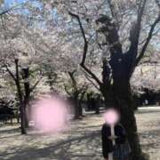 ヒメ日記 2026/04/03 21:30 投稿 白咲花音 五十路マダムエクスプレス船橋店(カサブランカグループ)