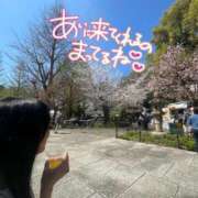 ヒメ日記 2026/04/04 07:40 投稿 白咲花音 五十路マダムエクスプレス船橋店(カサブランカグループ)