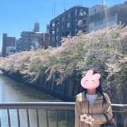 ヒメ日記 2026/04/08 20:16 投稿 白咲花音 五十路マダムエクスプレス船橋店(カサブランカグループ)