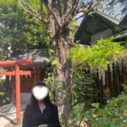 ヒメ日記 2026/04/18 07:40 投稿 白咲花音 五十路マダムエクスプレス船橋店(カサブランカグループ)