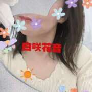 ヒメ日記 2026/05/03 09:04 投稿 白咲花音 五十路マダムエクスプレス船橋店(カサブランカグループ)