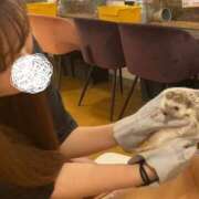 ヒメ日記 2026/03/05 02:45 投稿 マオ キャンディ(鹿児島)