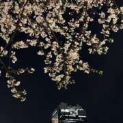 つき ? 新大阪秘密倶楽部