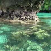 ヒメ日記 2025/06/17 14:38 投稿 結麻（ゆま） PLUS十三店