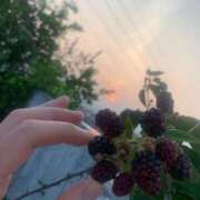 ヒメ日記 2025/07/04 19:18 投稿 結麻（ゆま） PLUS十三店