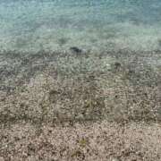 ヒメ日記 2025/08/22 13:53 投稿 結麻（ゆま） PLUS十三店