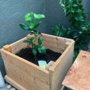 ヒメ日記 2025/09/28 16:28 投稿 結麻（ゆま） PLUS十三店