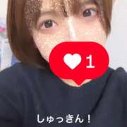 ヒメ日記 2024/12/16 20:04 投稿 くるみ 贅沢なひと時