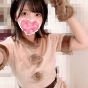 ヒメ日記 2024/12/24 20:33 投稿 くるみ 贅沢なひと時