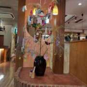 ヒメ日記 2025/06/29 17:30 投稿 ひろこ 鶯谷おかあさん