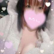 ヒメ日記 2024/12/16 03:07 投稿 リズ(奥方) 奥様幕府