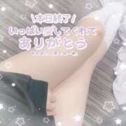 ヒメ日記 2024/12/19 03:57 投稿 リズ(奥方) 奥様幕府