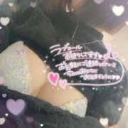 ヒメ日記 2024/12/19 15:07 投稿 リズ(奥方) 奥様幕府