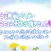 ヒメ日記 2024/12/20 14:57 投稿 リズ(奥方) 奥様幕府