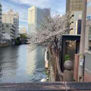 ヒメ日記 2026/04/04 14:25 投稿 えりか 川崎三浦屋