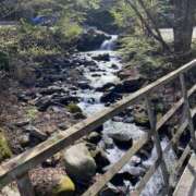 ヒメ日記 2026/04/15 17:14 投稿 えりか 川崎三浦屋