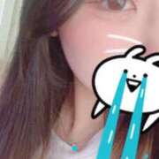 ヒメ日記 2025/09/26 03:25 投稿 ひな シャングリラ東広島～桃源郷～