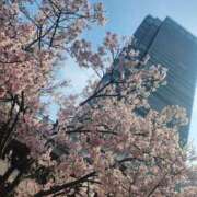 ヒメ日記 2025/03/28 08:23 投稿 蓮 ティアラ