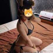 ヒメ日記 2025/03/08 11:00 投稿 ひまり ごほうびSPA五反田店