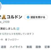 ヒメ日記 2025/12/22 19:45 投稿 かなで コルドンブルー