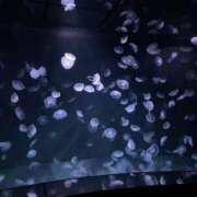 ヒメ日記 2025/03/05 09:06 投稿 早乙女えれな 五反田ウルトラファンタジー