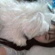 ヒメ日記 2025/04/11 11:46 投稿 早乙女えれな 五反田ウルトラファンタジー