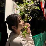 ヒメ日記 2025/04/13 23:56 投稿 早乙女えれな 五反田ウルトラファンタジー