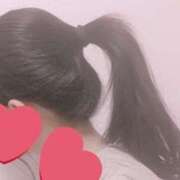 ヒメ日記 2025/02/13 23:25 投稿 みんと WASUreNA勿忘