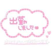 ヒメ日記 2026/08/19 16:25 投稿 みんと WASUreNA勿忘