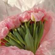 ヒメ日記 2024/12/26 13:02 投稿 新人・光(ひかり) グランドオペラ福岡